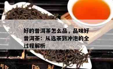 好的普洱茶怎么品，品味好普洱茶：从选茶到冲泡的全过程解析