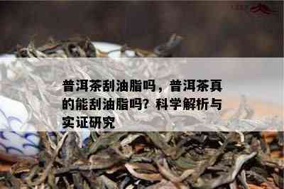 普洱茶刮油脂吗，普洱茶真的能刮油脂吗？科学解析与实证研究