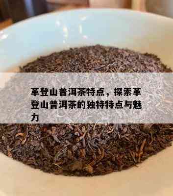 革登山普洱茶特点，探索革登山普洱茶的独特特点与魅力