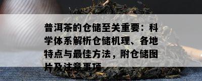 普洱茶的仓储至关重要：科学体系解析仓储机理、各地特点与更佳方法，附仓储图片及注意事项