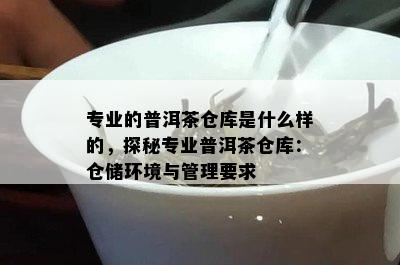 专业的普洱茶仓库是什么样的，探秘专业普洱茶仓库：仓储环境与管理要求