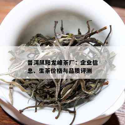 普洱凤阳龙峰茶厂：企业信息、生茶价格与品质评测