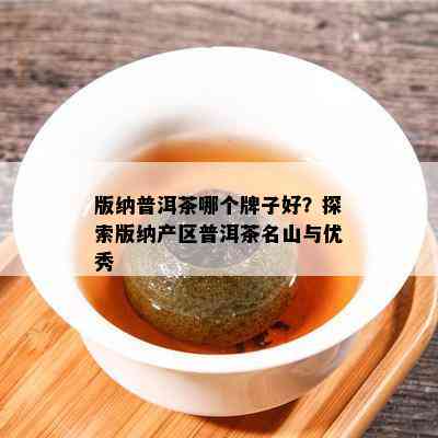 版纳普洱茶哪个牌子好？探索版纳产区普洱茶名山与优秀