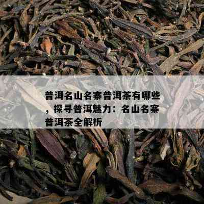 普洱名山名寨普洱茶有哪些，探寻普洱魅力：名山名寨普洱茶全解析