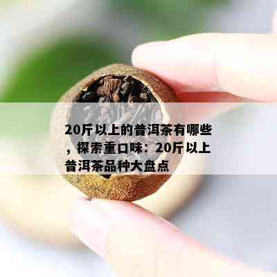 20斤以上的普洱茶有哪些，探索重口味：20斤以上普洱茶品种大盘点