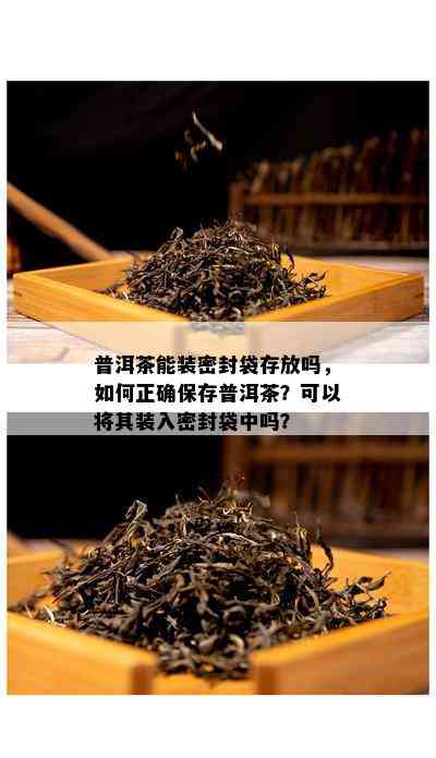 普洱茶能装密封袋存放吗，如何正确保存普洱茶？可以将其装入密封袋中吗？