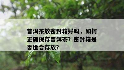 普洱茶放密封箱好吗，如何正确保存普洱茶？密封箱是否适合存放？