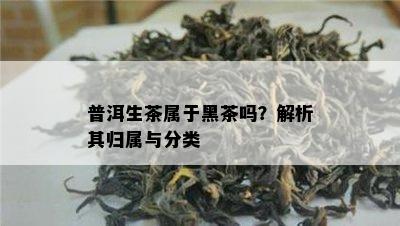 普洱生茶属于黑茶吗？解析其归属与分类