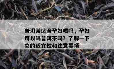 普洱茶适合孕妇喝吗，孕妇可以喝普洱茶吗？了解一下它的适宜性和注意事项