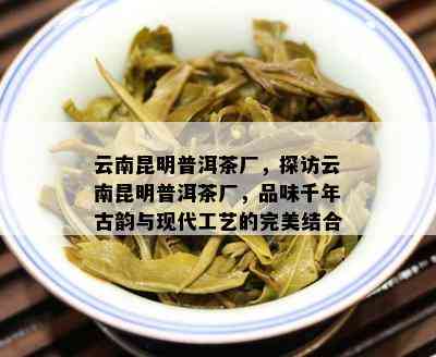 云南昆明普洱茶厂，探访云南昆明普洱茶厂，品味千年古韵与现代工艺的完美结合