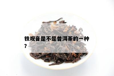 铁观音是不是普洱茶的一种？