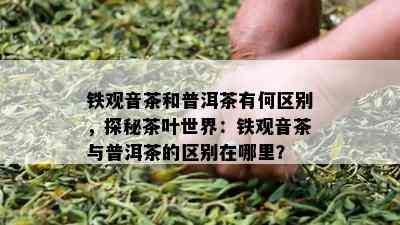 铁观音茶和普洱茶有何区别，探秘茶叶世界：铁观音茶与普洱茶的区别在哪里？