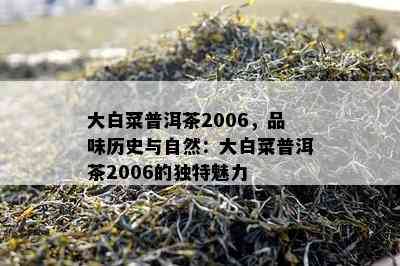 大白菜普洱茶2006，品味历史与自然：大白菜普洱茶2006的独特魅力