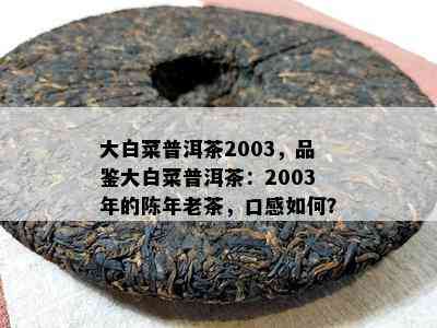 大白菜普洱茶2003，品鉴大白菜普洱茶：2003年的陈年老茶，口感如何？