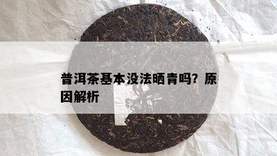 普洱茶基本没法晒青吗？原因解析