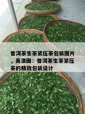 普洱茶生茶紧压茶包装图片，高清图：普洱茶生茶紧压茶的精致包装设计