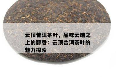 云顶普洱茶叶，品味云端之上的醇香：云顶普洱茶叶的魅力探索