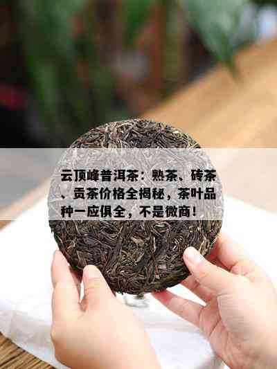 云顶峰普洱茶：熟茶、砖茶、贡茶价格全揭秘，茶叶品种一应俱全，不是微商！