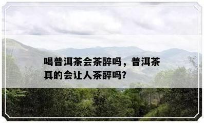 喝普洱茶会茶醉吗，普洱茶真的会让人茶醉吗？