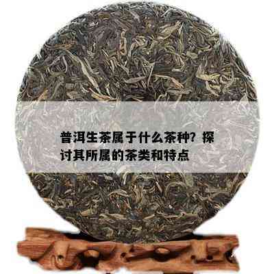 普洱生茶属于什么茶种？探讨其所属的茶类和特点