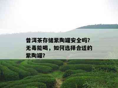 普洱茶存储紫陶罐安全吗？无能喝，如何选择合适的紫陶罐？