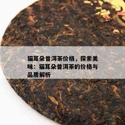 猫耳朵普洱茶价格，探索美味：猫耳朵普洱茶的价格与品质解析