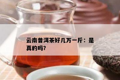 云南普洱茶好几万一斤：是真的吗？