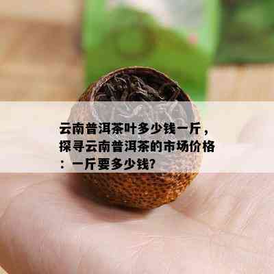 云南普洱茶叶多少钱一斤，探寻云南普洱茶的市场价格：一斤要多少钱？