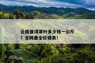 云南普洱茶叶多少钱一公斤？全网最全价格表！