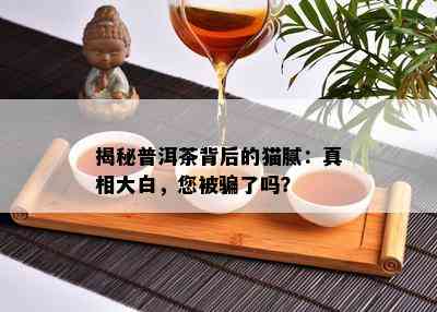 揭秘普洱茶背后的猫腻：真相大白，您被骗了吗？