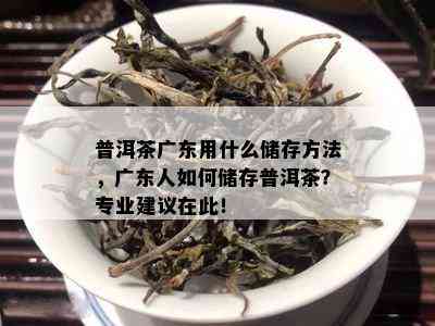 普洱茶广东用什么储存方法，广东人如何储存普洱茶？专业建议在此！