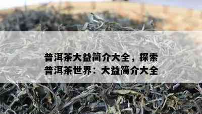 普洱茶大益简介大全，探索普洱茶世界：大益简介大全