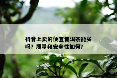 抖音上卖的便宜普洱茶能买吗？质量和安全性如何？