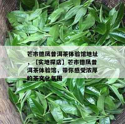 芒市德凤普洱茶体验馆地址，【实地探店】芒市德凤普洱茶体验馆，带你感受浓厚的茶文化氛围