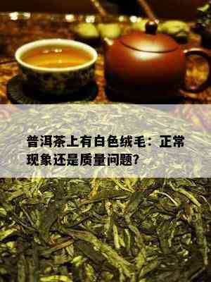 普洱茶上有白色绒毛：正常现象还是质量问题？