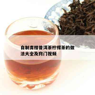 自制青柑普洱茶柠檬茶的做法大全及窍门视频