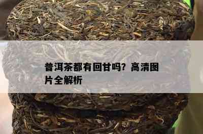 普洱茶都有回甘吗？高清图片全解析