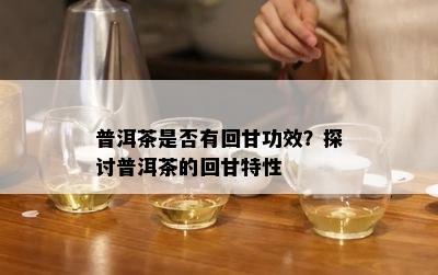 普洱茶是否有回甘功效？探讨普洱茶的回甘特性