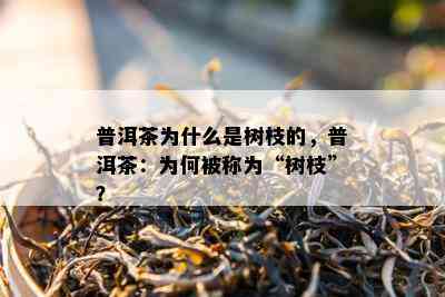 普洱茶为什么是树枝的，普洱茶：为何被称为“树枝”？