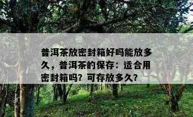 普洱茶放密封箱好吗能放多久，普洱茶的保存：适合用密封箱吗？可存放多久？