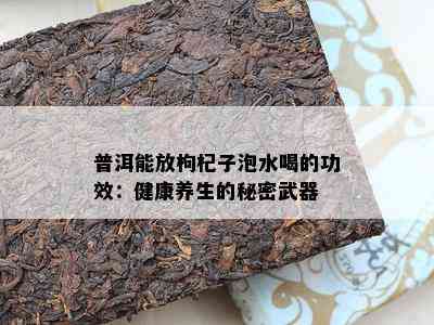 普洱能放枸杞子泡水喝的功效：健康养生的秘密武器