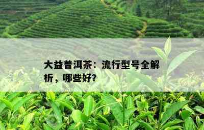 大益普洱茶：流行型号全解析，哪些好？