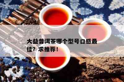 大益普洱茶哪个型号口感更佳？求推荐！