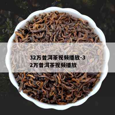 32万普洱茶视频播放-32万普洱茶视频播放