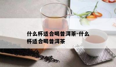 什么杯适合喝普洱茶-什么杯适合喝普洱茶