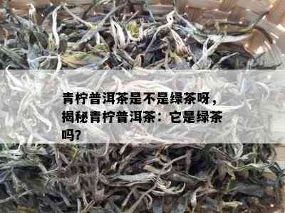 青柠普洱茶是不是绿茶呀，揭秘青柠普洱茶：它是绿茶吗？