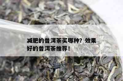 减肥的普洱茶买哪种？效果好的普洱茶推荐！