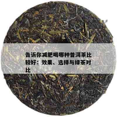 告诉你减肥喝哪种普洱茶比较好：效果、选择与绿茶对比