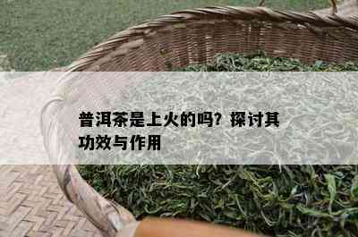 普洱茶是上火的吗？探讨其功效与作用