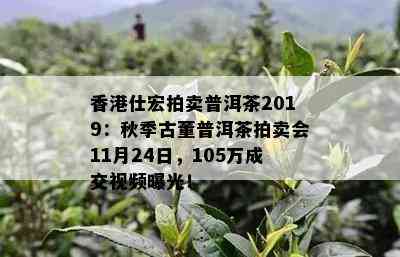 仕宏拍卖普洱茶2019：秋季古董普洱茶拍卖会11月24日，105万成交视频曝光！